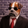 Man wearing foam latex prosthetic face and makeup to look like an anthropomorphic bulldog wearing sunglasses Man wearing foam latex prosthetic face and makeup to look like an anthropomorphic bulldog wearing sunglasses