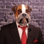 Man wearing foam latex prosthetic face and makeup to look like an anthropomorphic bulldog smoking a cigar Man wearing foam latex prosthetic face and makeup to look like an anthropomorphic bulldog smoking a cigar