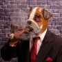 Man wearing foam latex prosthetic face and makeup to look like an anthropomorphic bulldog smoking a cigar Man wearing foam latex prosthetic face and makeup to look like an anthropomorphic bulldog smoking a cigar