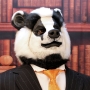 Man wearing latex prosthetic nose and makeup to look like an anthropomorphic european badger. Man wearing latex prosthetic nose and makeup to look like an anthropomorphic european badger.
