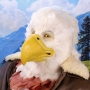 Man wearing latex prosthetic beak and makeup with feathers to look like an anthropomorphic bald eagle.