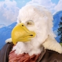 Man wearing latex prosthetic beak and makeup with feathers to look like an anthropomorphic bald eagle.