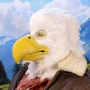 Man wearing latex prosthetic beak and makeup with feathers to look like an anthropomorphic bald eagle.