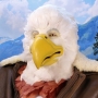 Man wearing latex prosthetic beak and makeup with feathers to look like an anthropomorphic bald eagle.