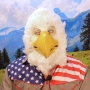 Man wearing latex prosthetic beak and makeup with feathers to look like an anthropomorphic American-themed bald eagle.