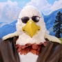 Man wearing latex prosthetic beak and makeup with feathers to look like an anthropomorphic bald eagle with sunglasses.