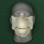 Foam latex Salmon Muzzle placed on a plastic human face cast