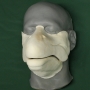 Foam latex Salmon Muzzle placed on a plastic human face cast