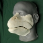 Foam latex Salmon Muzzle placed on a plastic human face cast