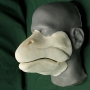 Foam latex Salmon Muzzle placed on a plastic human face cast
