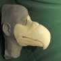 Foam latex prosthetic eagle beak placed on a plastic human face cast