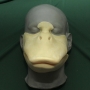 Slush Cast Latex prosthetic Small Duck Bill placed on a plastic human face cast