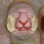 a foam latex prosthetic Sheep / Goat Nose painted in pink and light yellow alpaca placed on a plastic human face cast a foam latex prosthetic Sheep / Goat Nose painted in pink and light yellow alpaca placed on a plastic human face cast