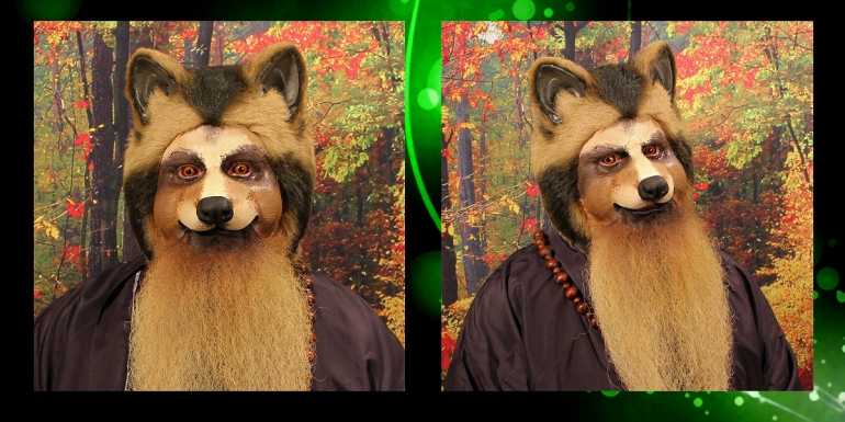 Raccoon Nose Makeup Photos & Video